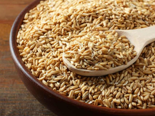 長隆工廠燕麥類產品暢銷國內外